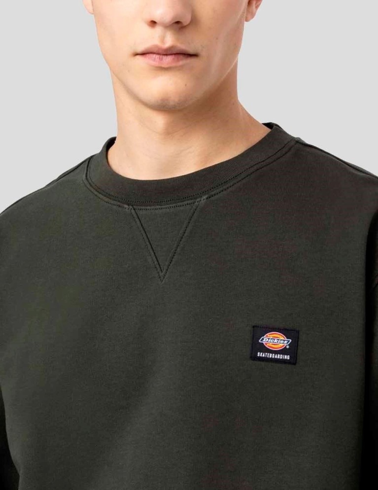 Sudadeira DICKIES mount vista sweatshirt olive green